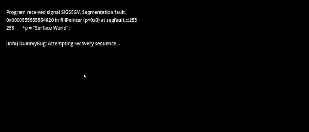 video-5311158