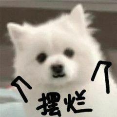海底捞是不出的抽卡是保底的还出二队截图