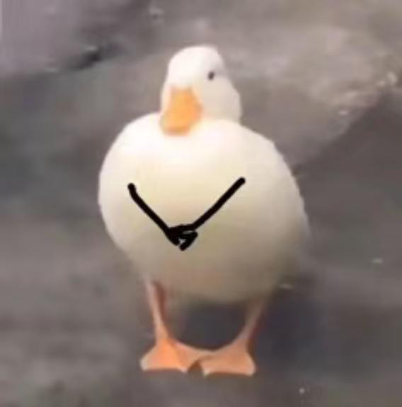 萌新有一个问题截图