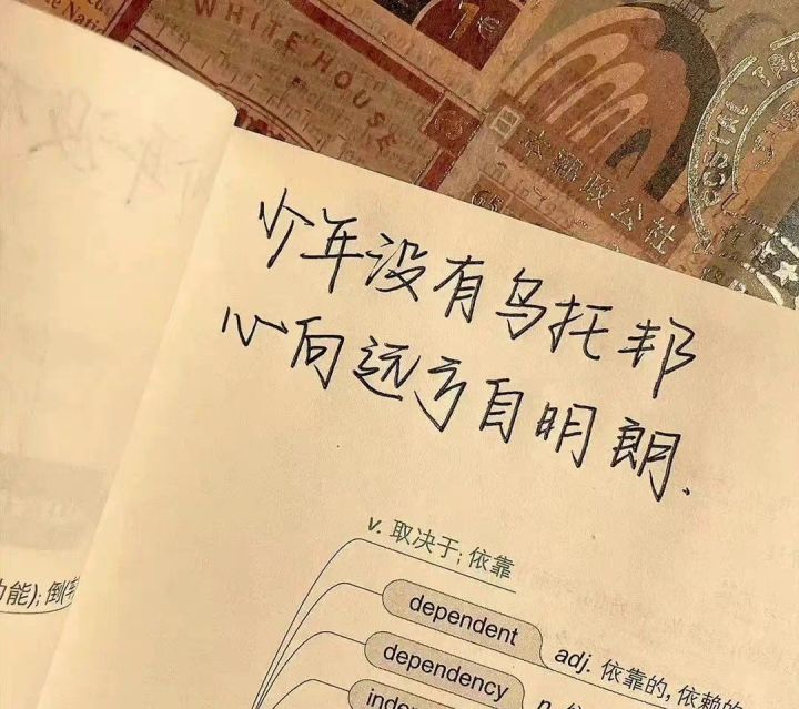 宝藏游戏又又又送皮肤啦截图