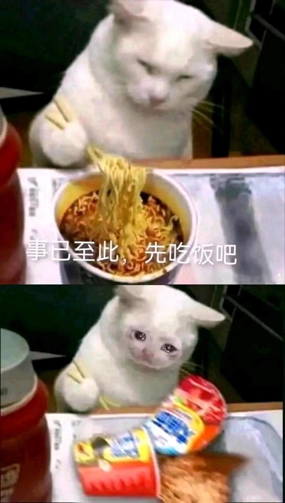 终于九本咯 3