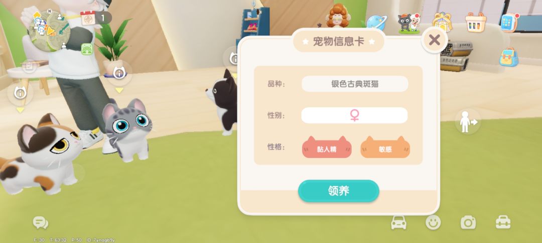 偶遇两只喜欢的小猫 2