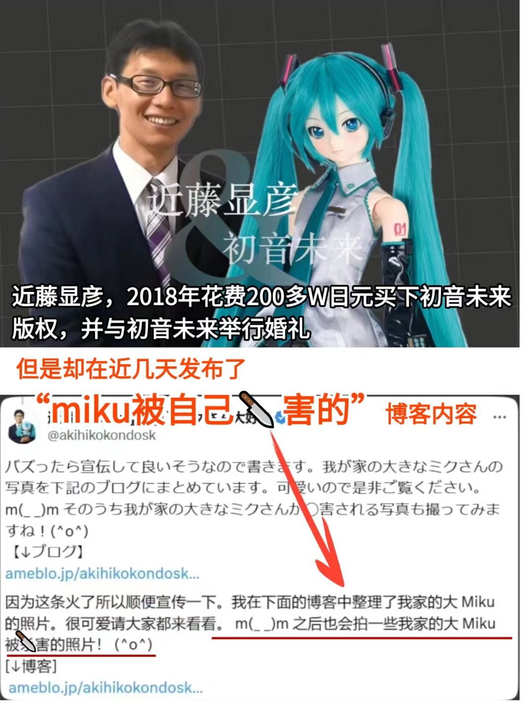 初音未来婚内遭到暴力对待? 1