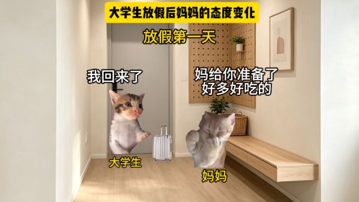 大学生放假后妈妈的态度变化截图