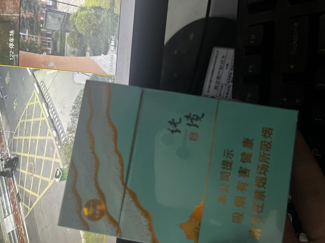 这游戏还有什么意义清一色两仪还那么强😡 1