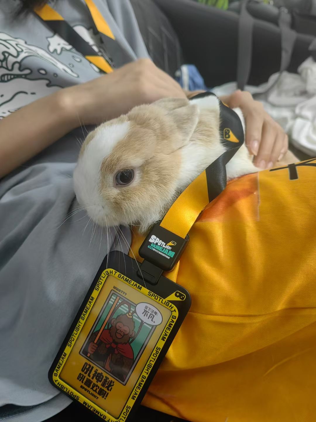 你来编程 1