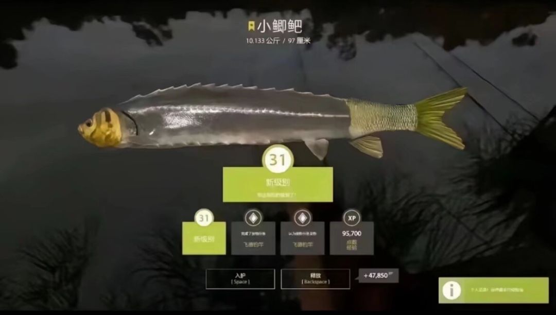 游戏特色? 1