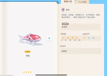 潮流季锦鲤鱼钓鱼攻略！