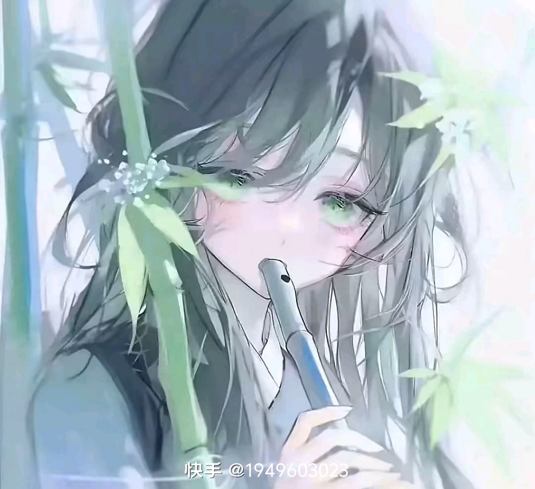 动态图片 6