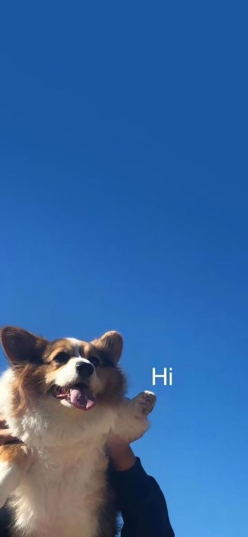 趁着今天休息，来开个新坑。