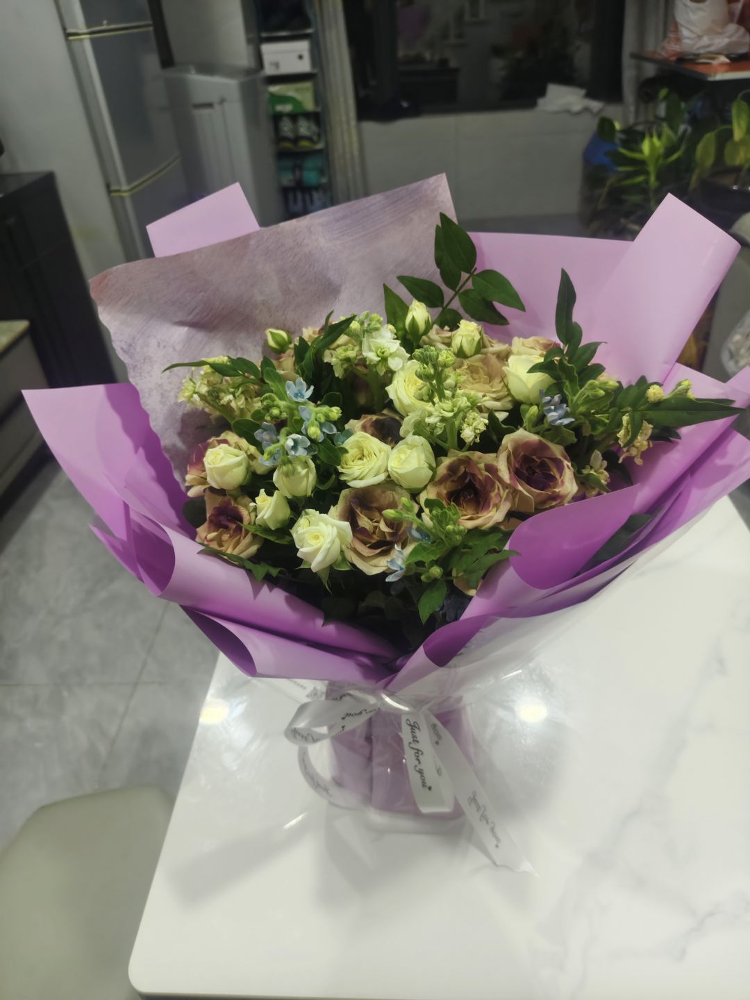 我的花园世界 2