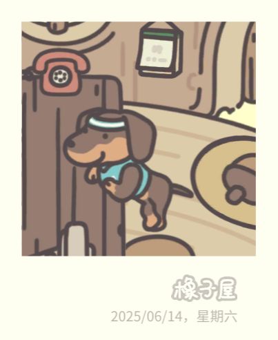 橡子屋晚上好无聊 2