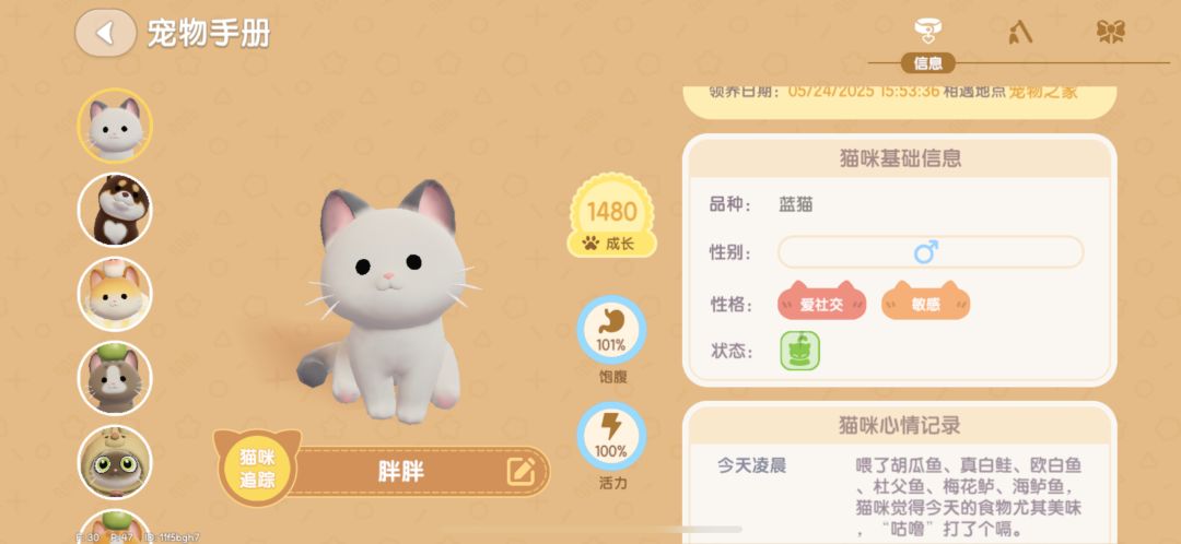 心动小镇猫咪爱吃改版了??? 1