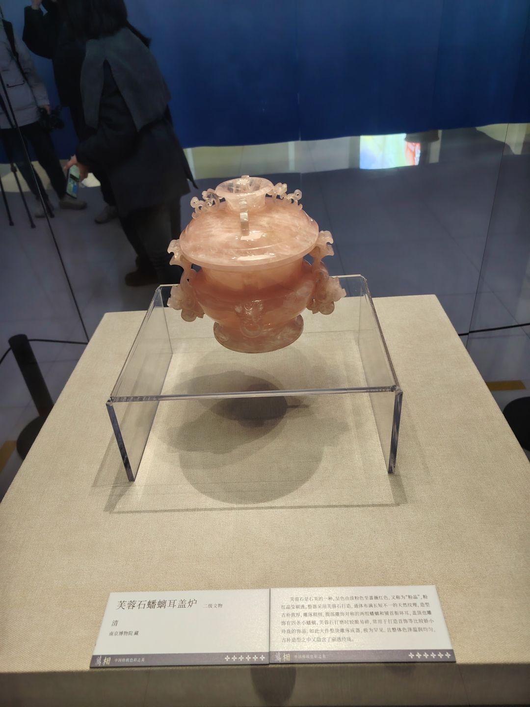 今天逛博物馆一眼认了出来惊喜 1