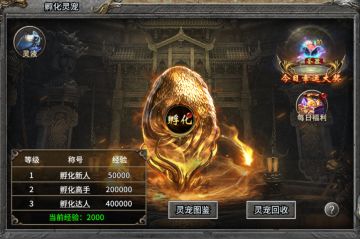孵化灵宠