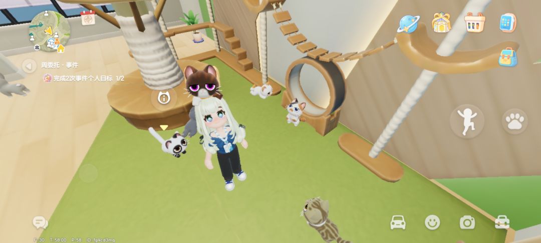 寄养的猫回家了 1