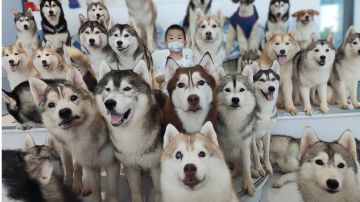 【公告】10月23日 无限邮件事故补偿规则