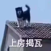 关于溢出的建议