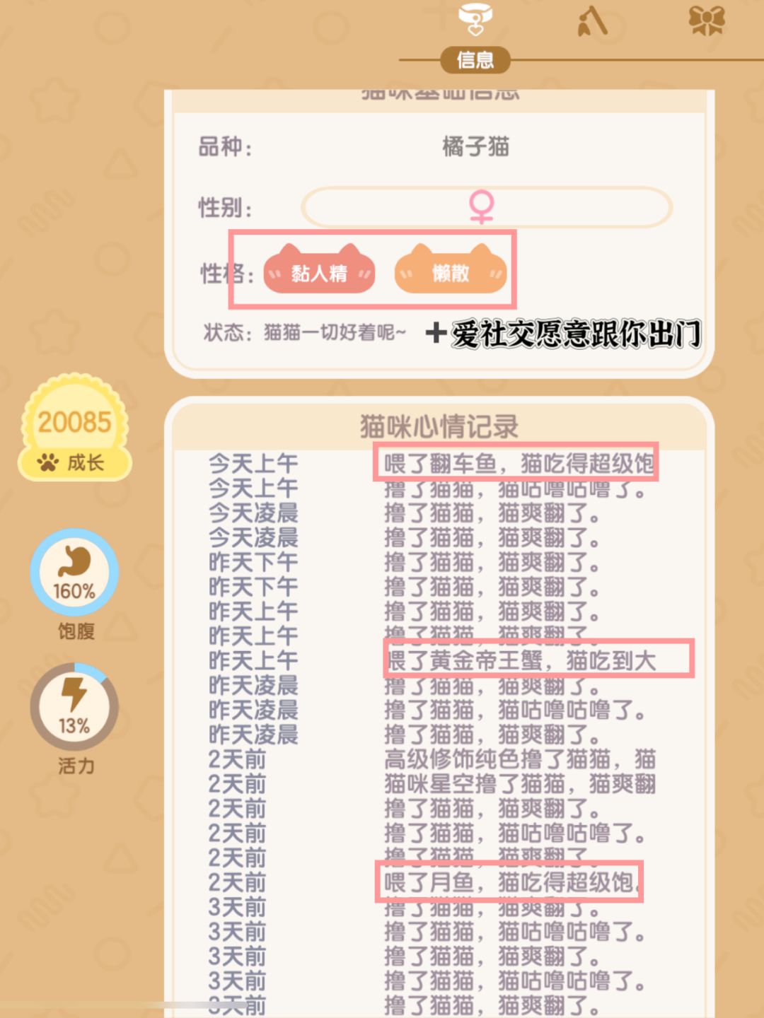 多号叼十几次紫星,这养猫秘籍没人跟你说过 2