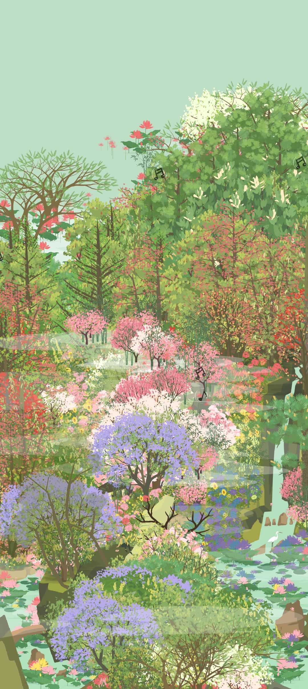 春天的蓝花楹 1