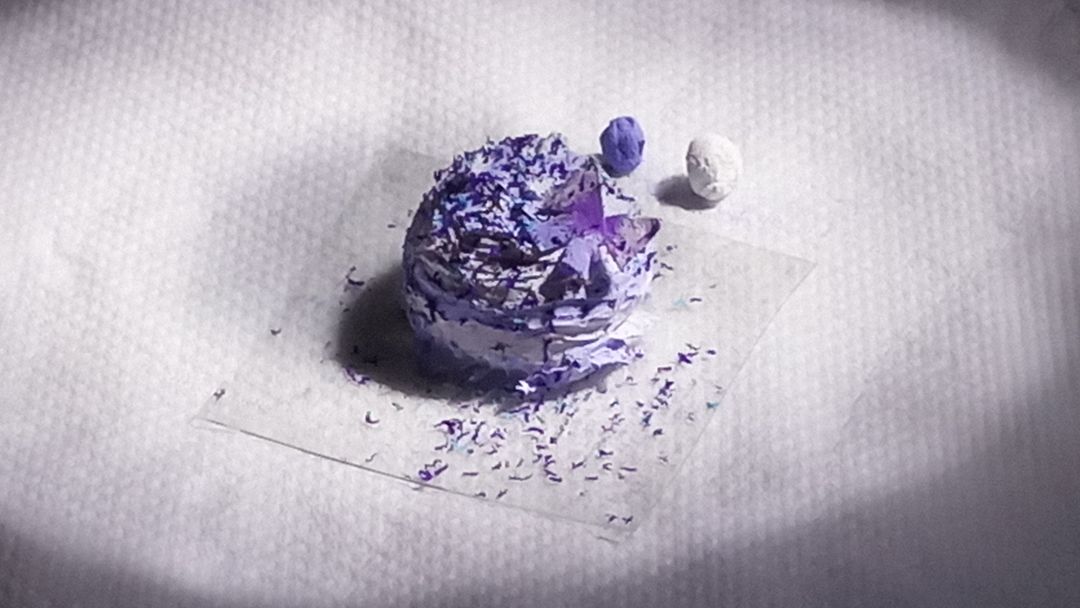 紫罗兰恋🦋 3