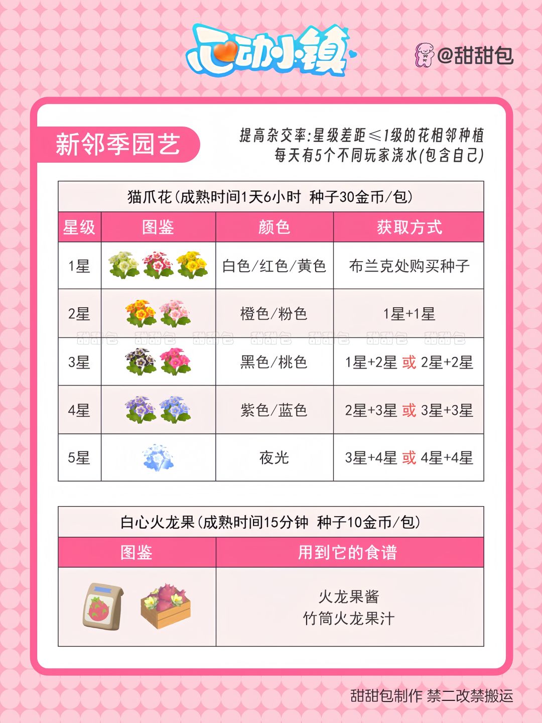 新邻季园艺攻略丨火龙果+猫爪花 2