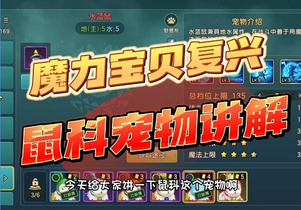 鼠科宠物讲解,宝石鼠为什么厉害?看完你就懂了截图