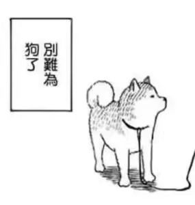 登录不上去 1