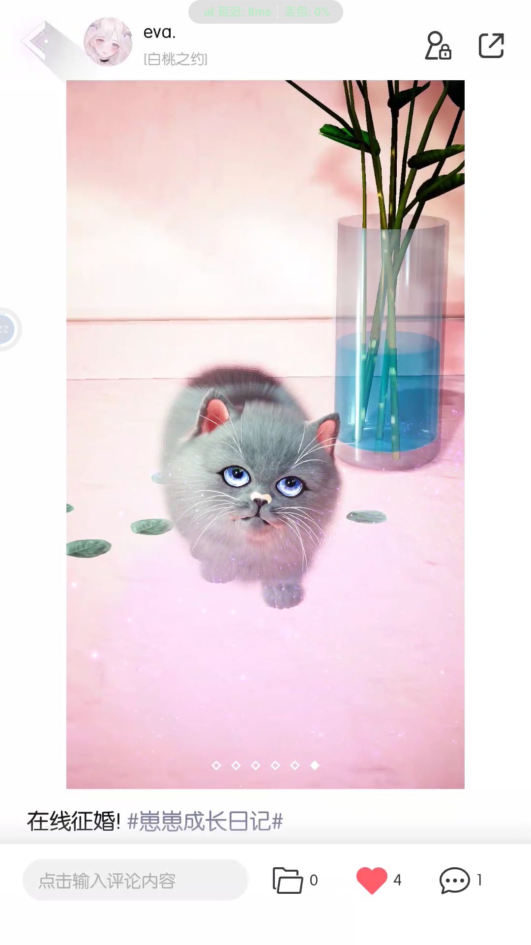 求个异色猫妹妹 1