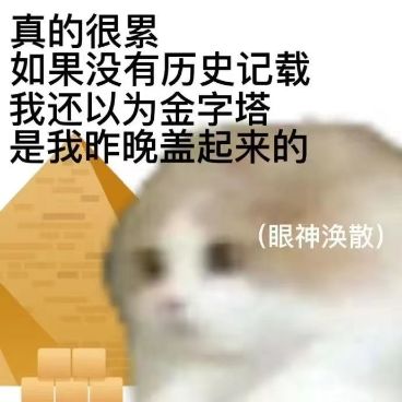 随便配的双人对战卡组发现胜率还不错 2
