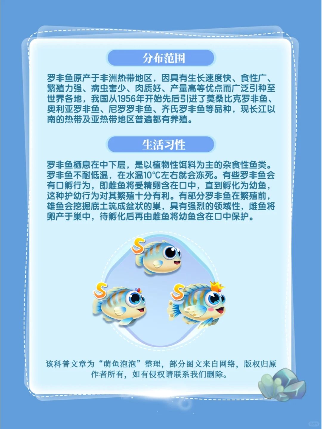 萌鱼百科丨第5期：罗非鱼 2