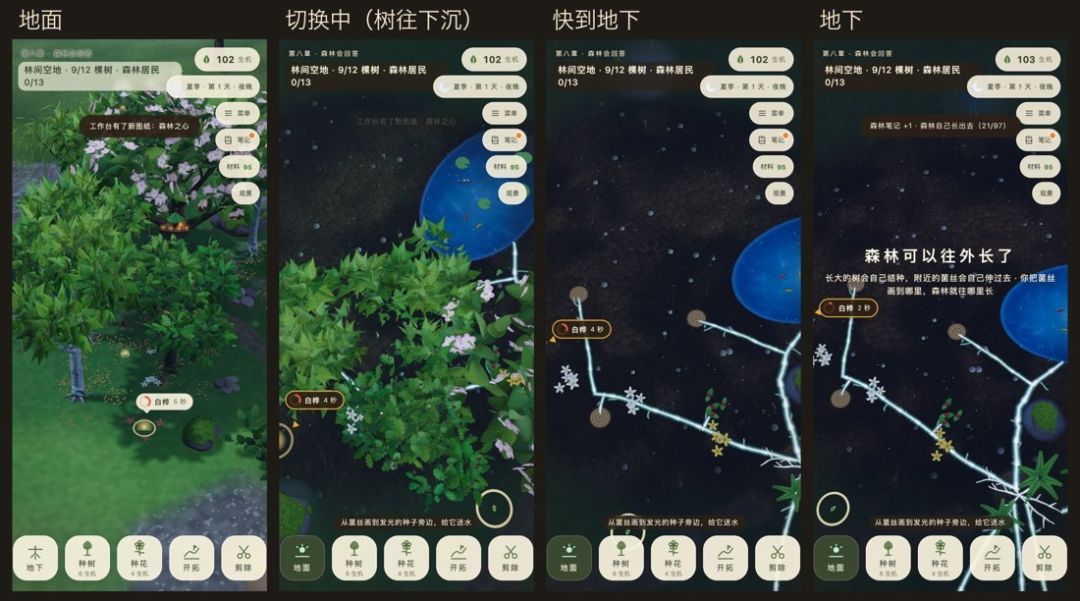《地下的森林》更新|地下更好画了:撤回、看得见树 9