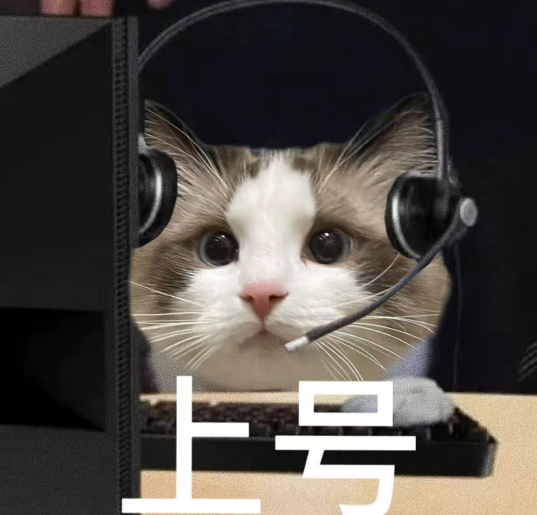 适合刚入坑的小萌新 1
