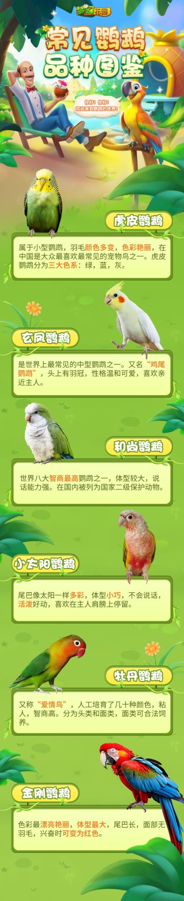 【常见鹦鹉品种图鉴】