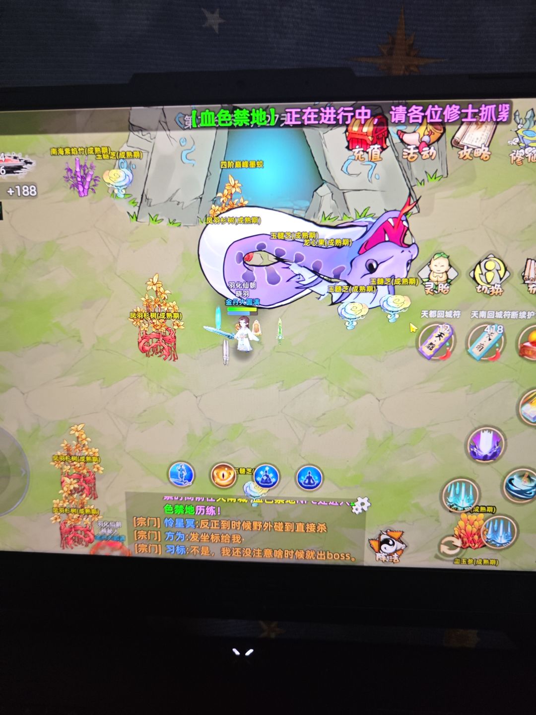 反伤金丹期体验 2