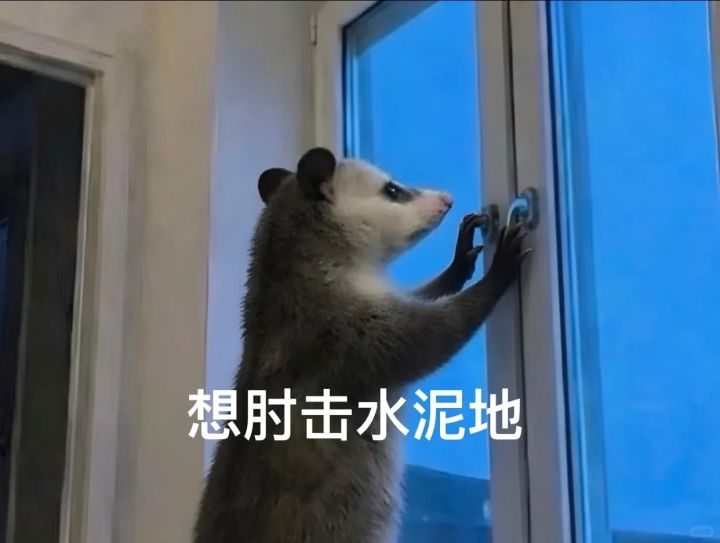 新手求助截图