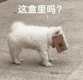 我又来催更了截图