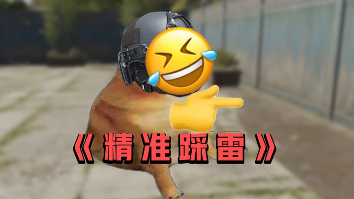 哥!!就是他骂我!!截图