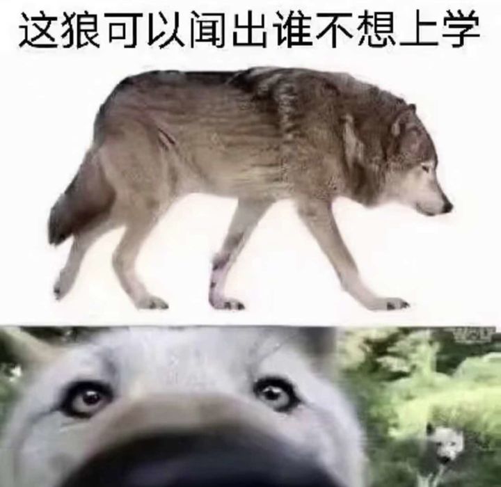 发一波梗图…(11)截图