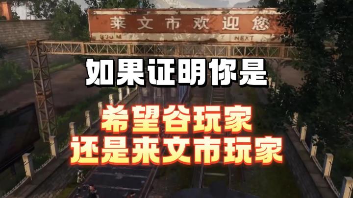如何证明你来自希望谷还是莱文市截图