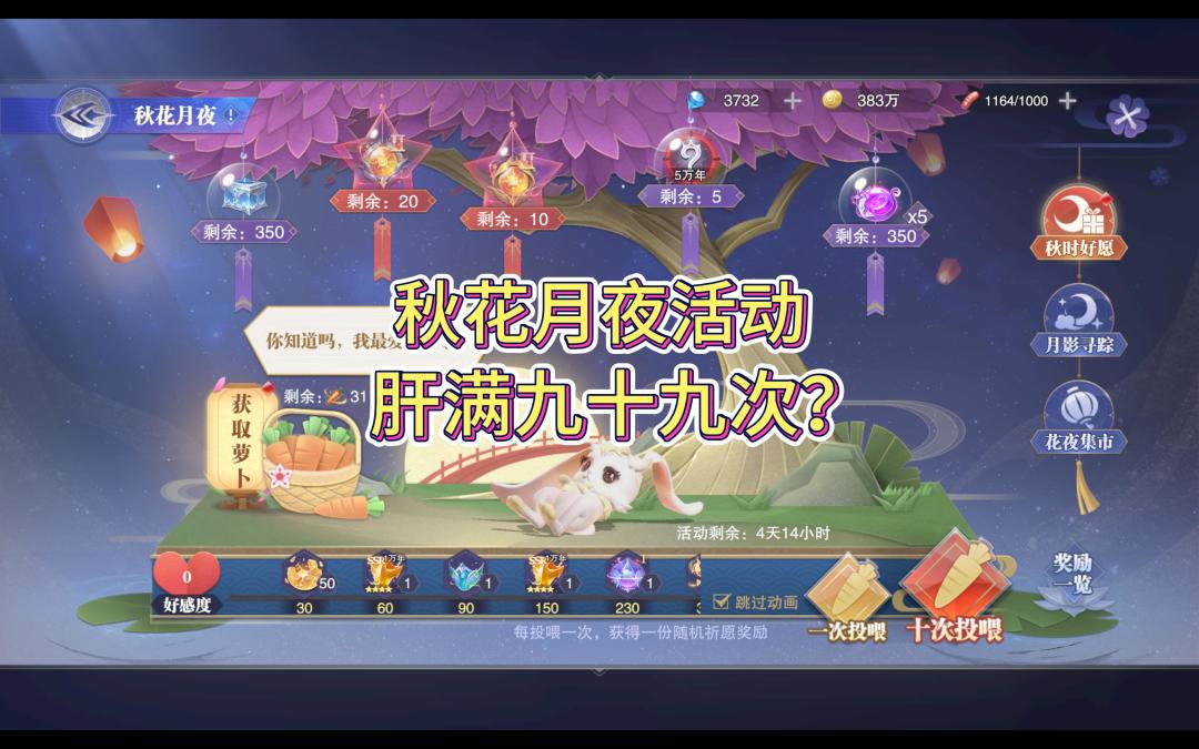 video-3729155