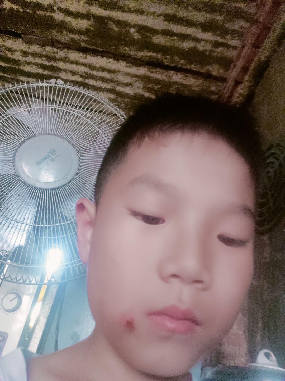 动态图片 1