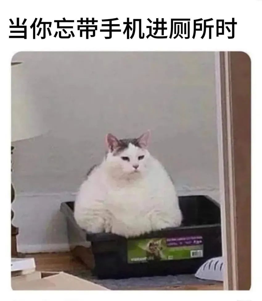 ✨今日份梗图分享第四十八期✨ 1