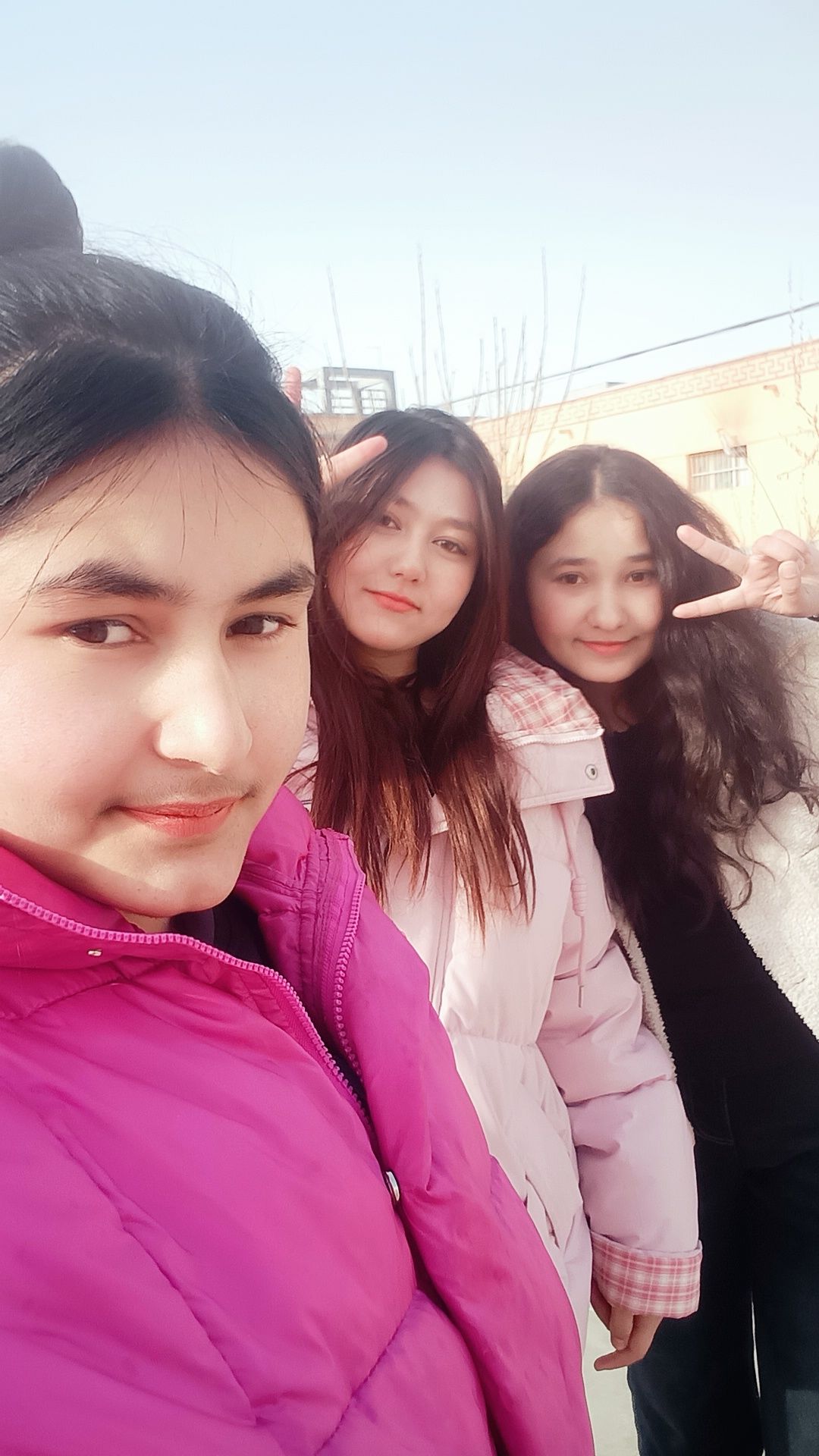动态图片 12