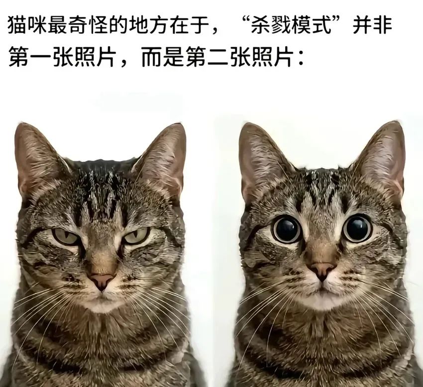 绿油油 1