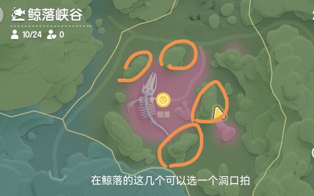 一起潜入海底拍照! 3