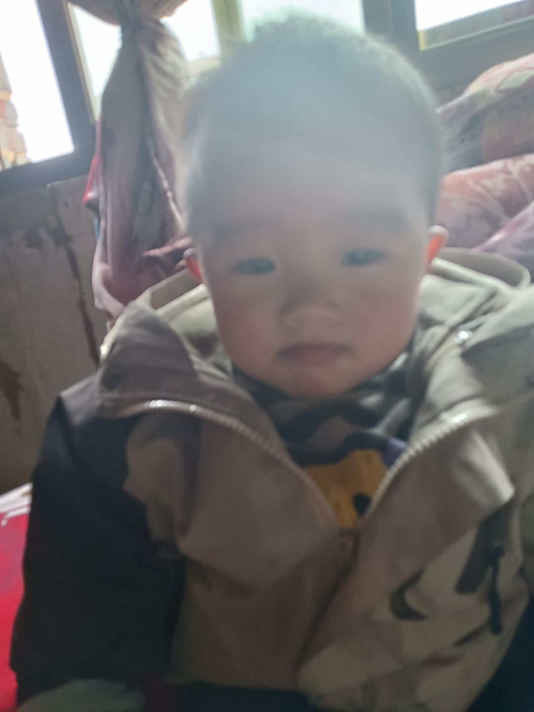动态图片 9