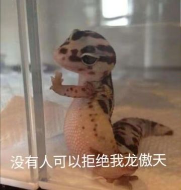 关于棺材和高台战的改动建议