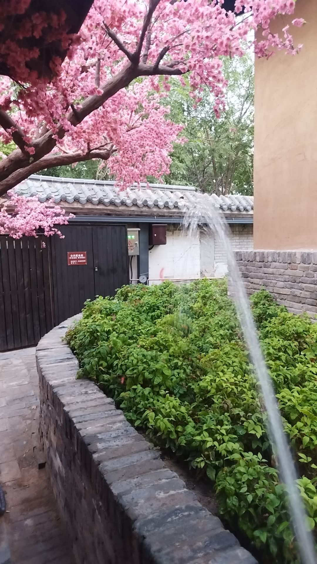 动态图片 16