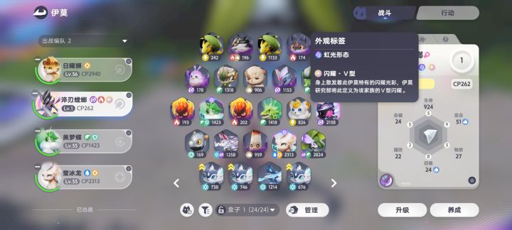 这个五型闪耀是啥意思?是影之闪耀吗?截图